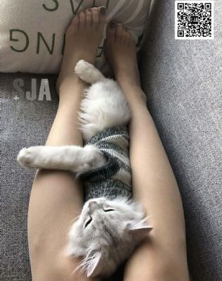 渴望电视剧免费观看全集完整版