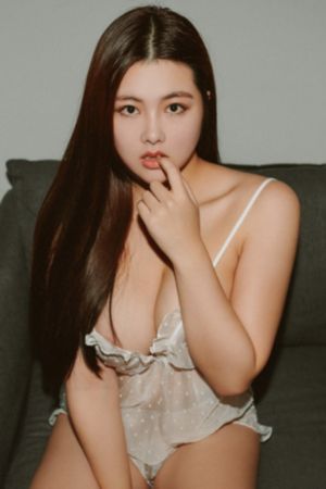 动物世界免费观看高清